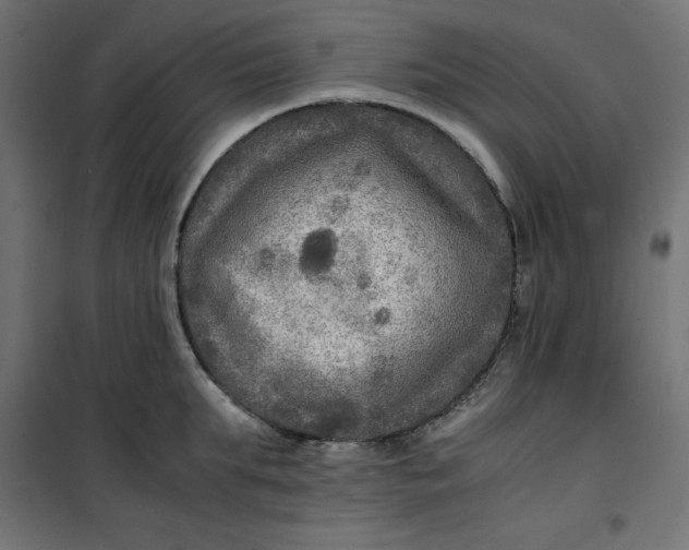 X0000100850903200807070930