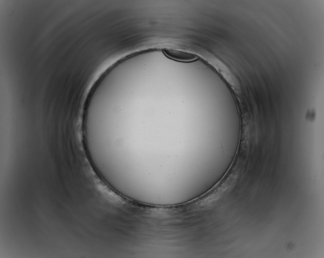 X0000100850904200807070930