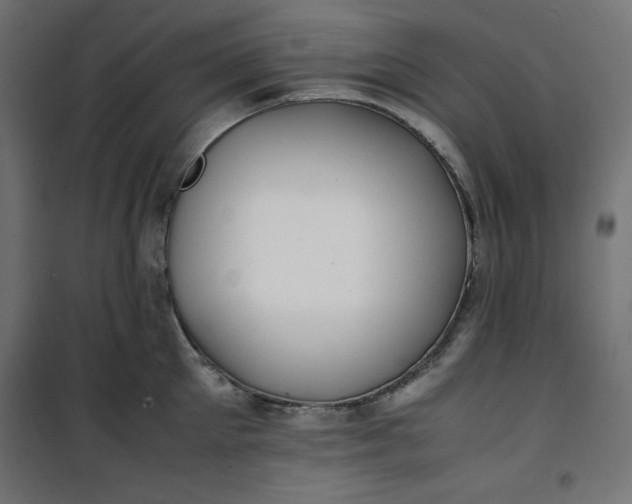 X0000100850905200807070930