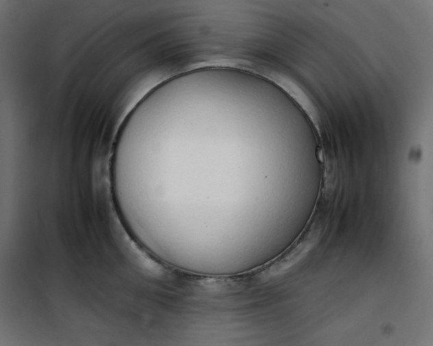 X0000100850906200807070930