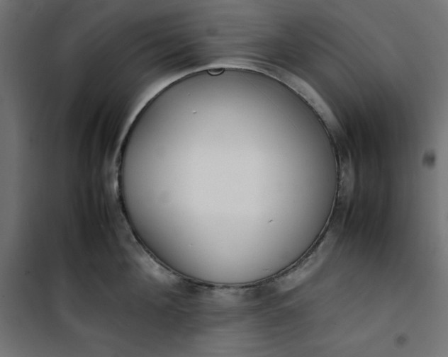 X0000100850908200807070930