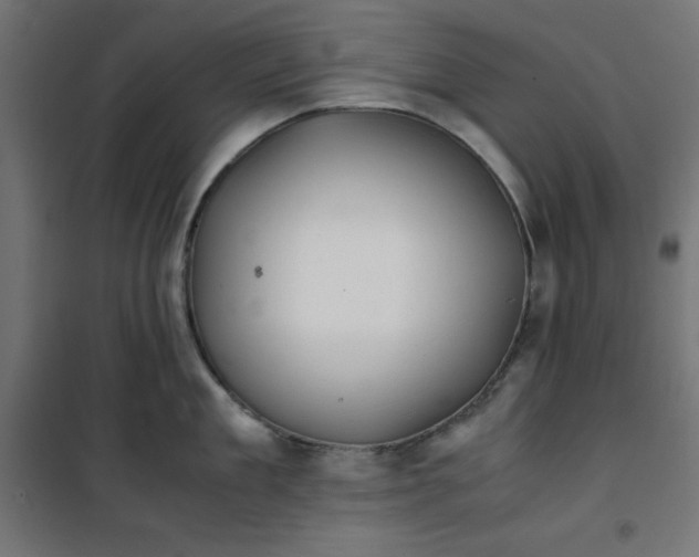 X0000100850909200807070930