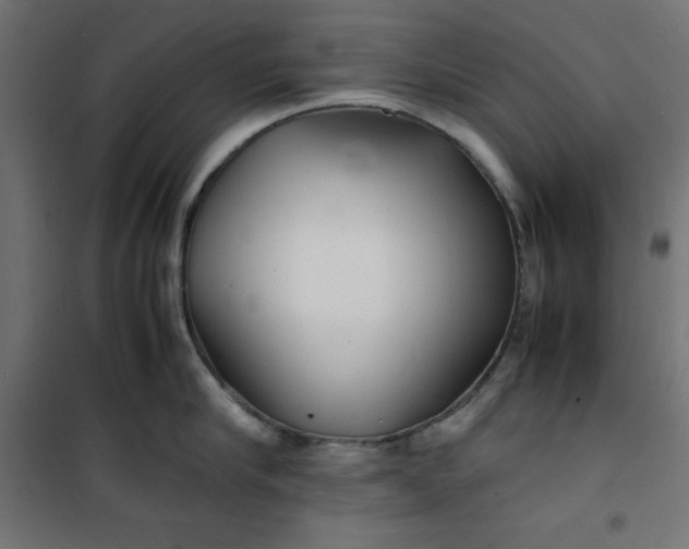 X0000100850910200807070930