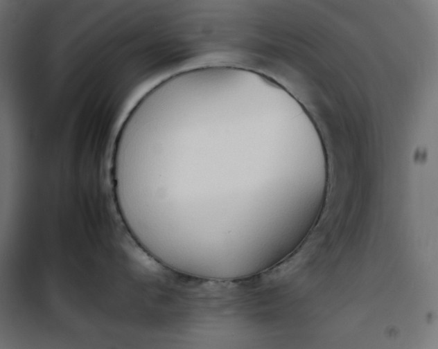 X0000100850912200807070930