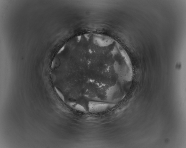 X0000100850913200807070929