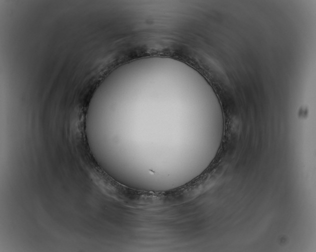 X0000100850914200807070929