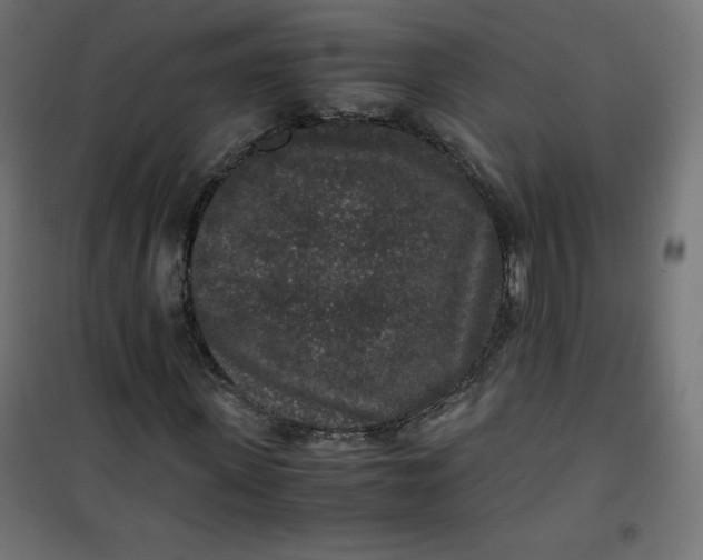 X0000100850915200807070929