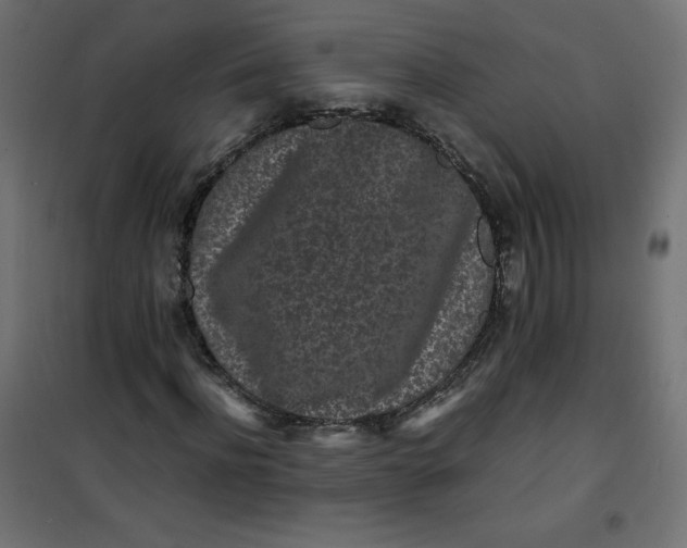 X0000100850916200807070929