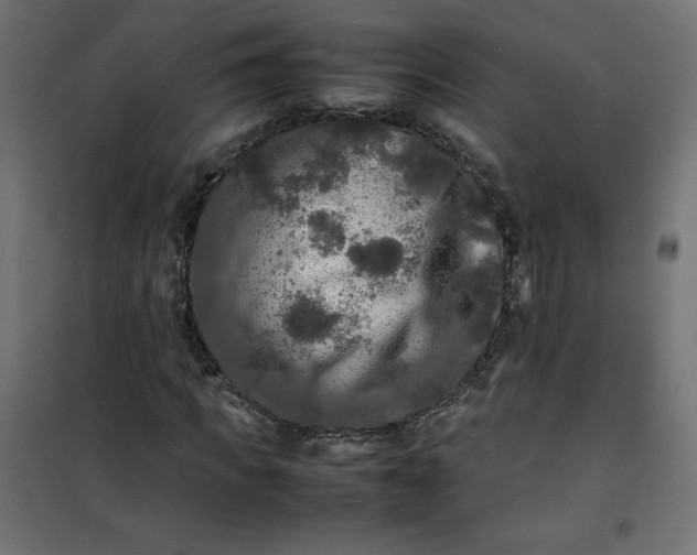 X0000100850917200807070929