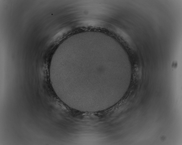 X0000100850918200807070929