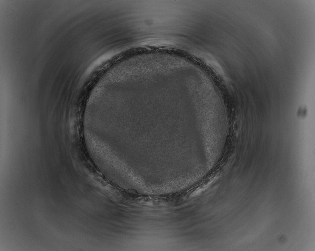 X0000100850920200807070929