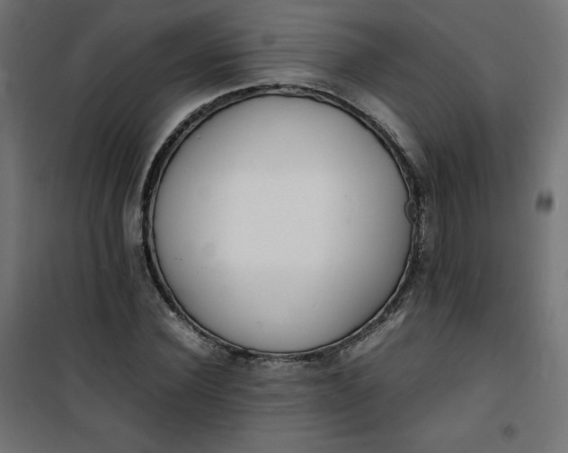 X0000100850924200807070929