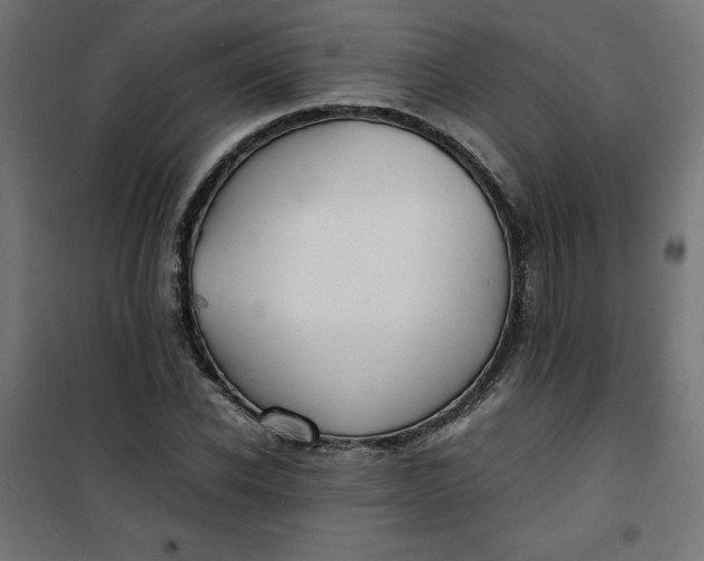 X0000100850926200807070929