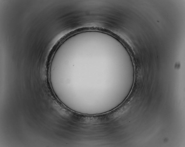 X0000100850927200807070929