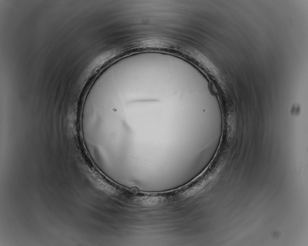 X0000100850930200807070929