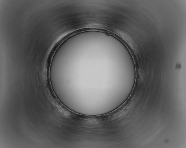 X0000100850931200807070929