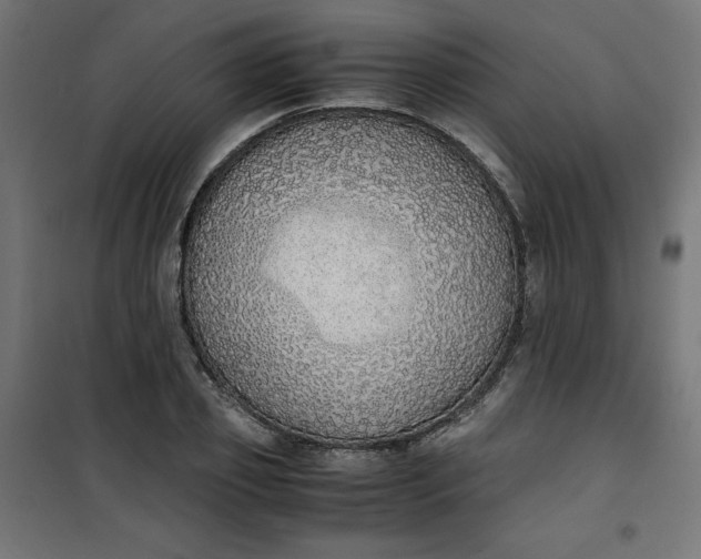 X0000100850933200807070929