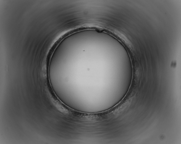 X0000100850934200807070929