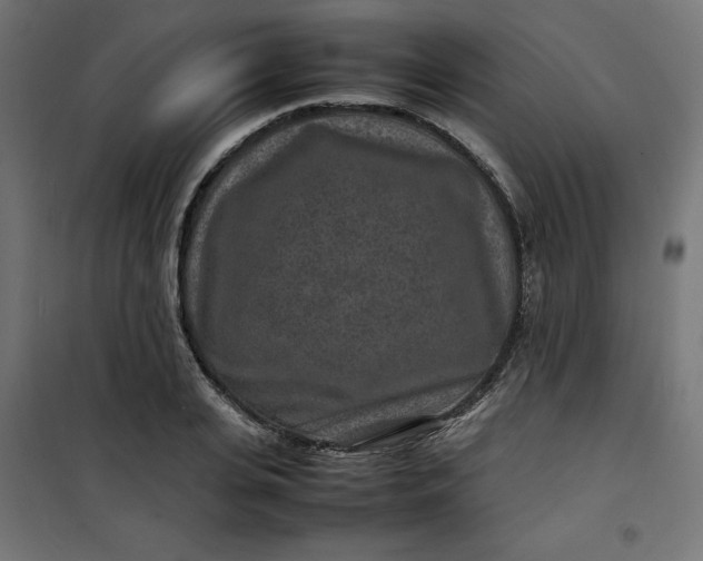 X0000100850935200807070929