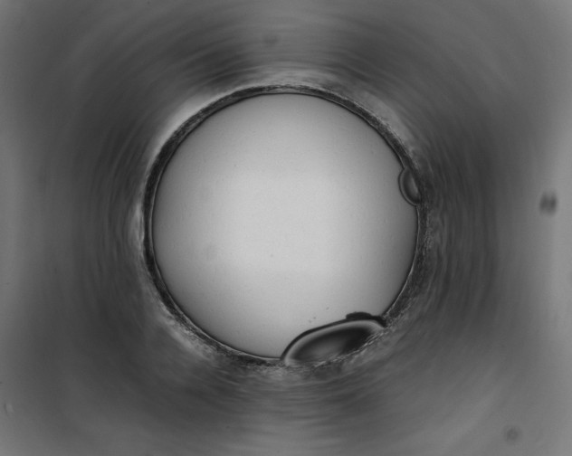 X0000100850936200807070929