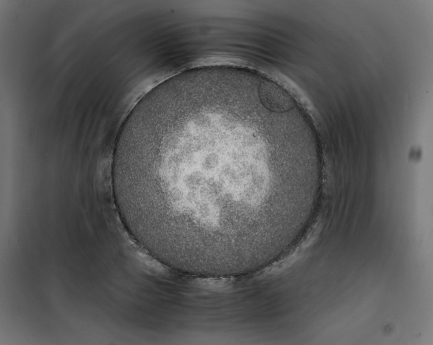 X0000100850937200807070929