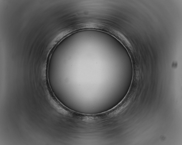 X0000100850938200807070929