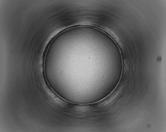 X0000100850939200807070929