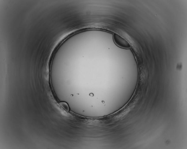 X0000100850940200807070929