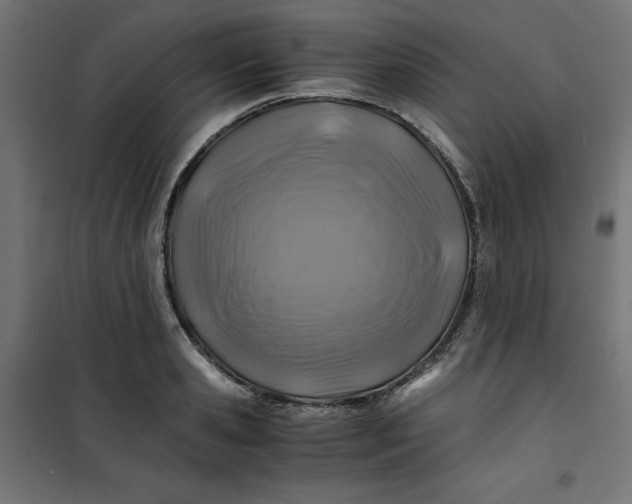 X0000100850941200807070929