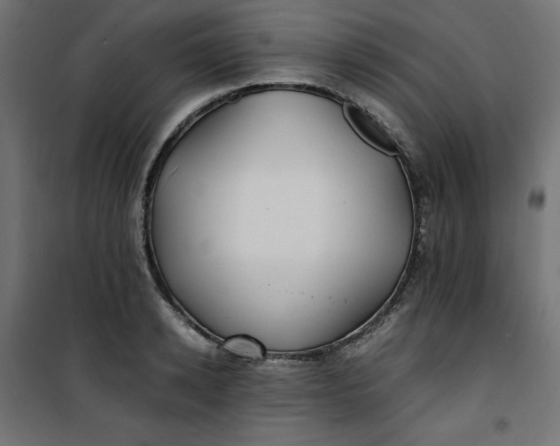 X0000100850942200807070929