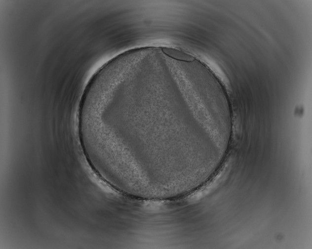 X0000100850944200807070929