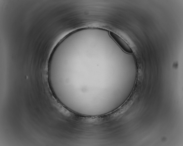 X0000100850948200807070930