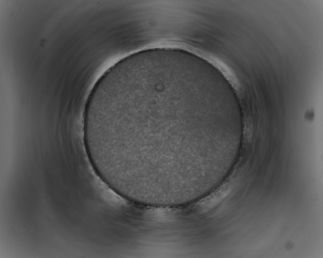 X0000100850950200807070930