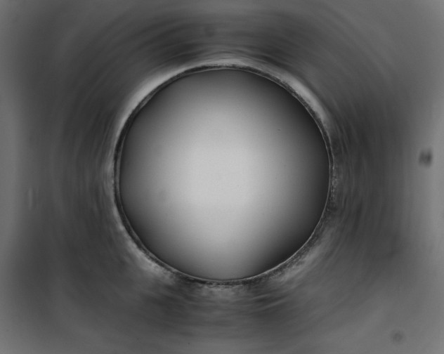 X0000100850951200807070930