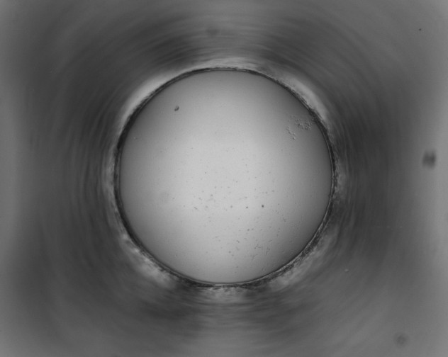 X0000100850952200807070930