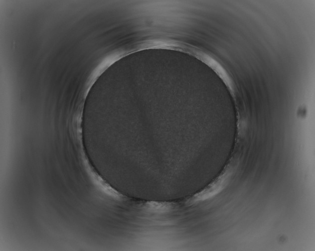 X0000100850954200807070930