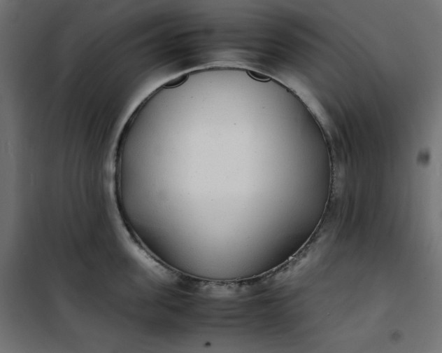 X0000100850955200807070930