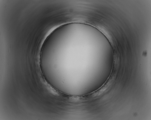 X0000100850956200807070930