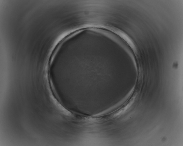 X0000100850958200807070930