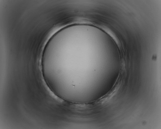 X0000100850959200807070930