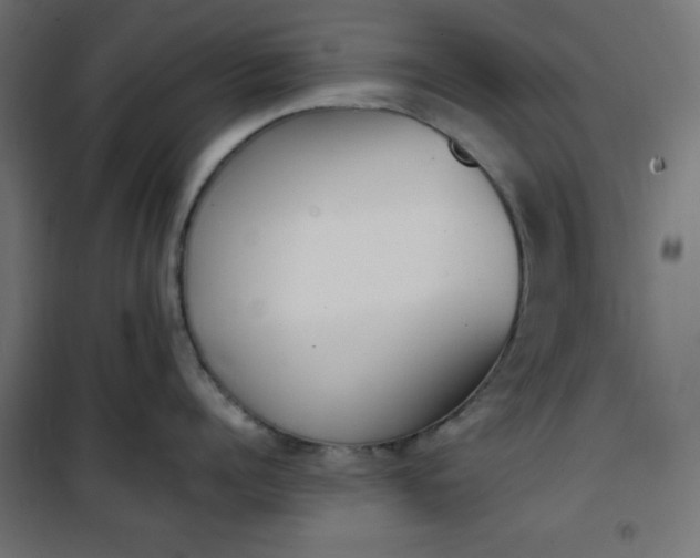 X0000100850960200807070930