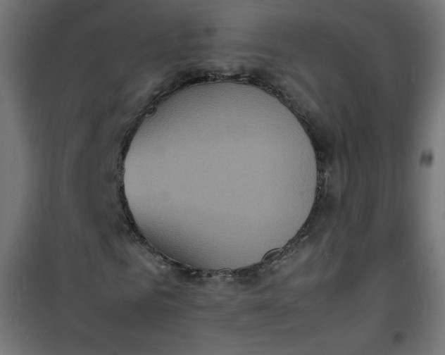 X0000100850961200807070929