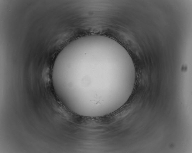 X0000100850962200807070929