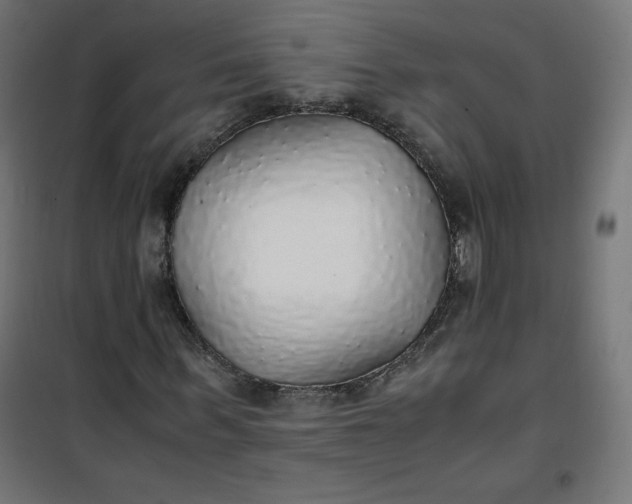 X0000100850963200807070929