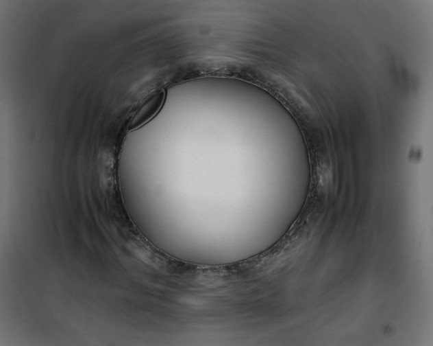 X0000100850964200807070929