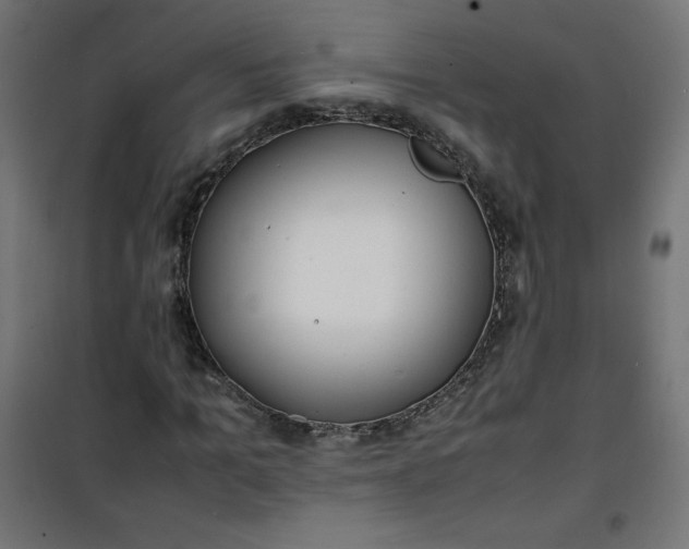 X0000100850965200807070929