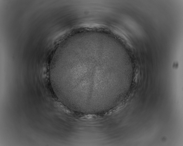 X0000100850966200807070929