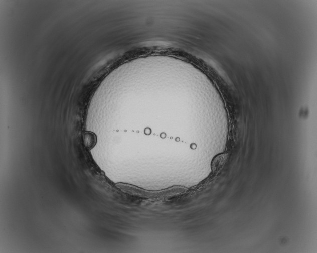 X0000100850967200807070929