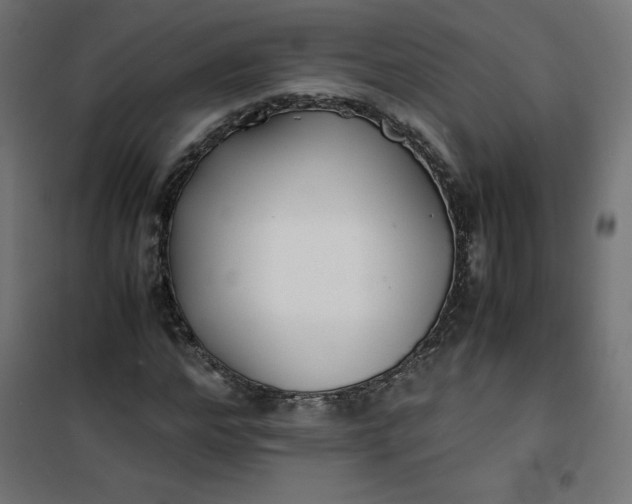 X0000100850968200807070929