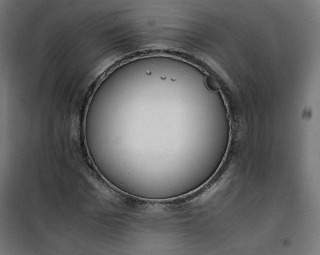 X0000100850969200807070929